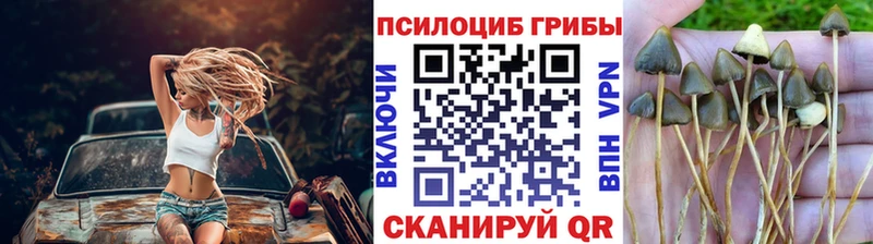 Псилоцибиновые грибы MAGIC MUSHROOMS  Хабаровск 
